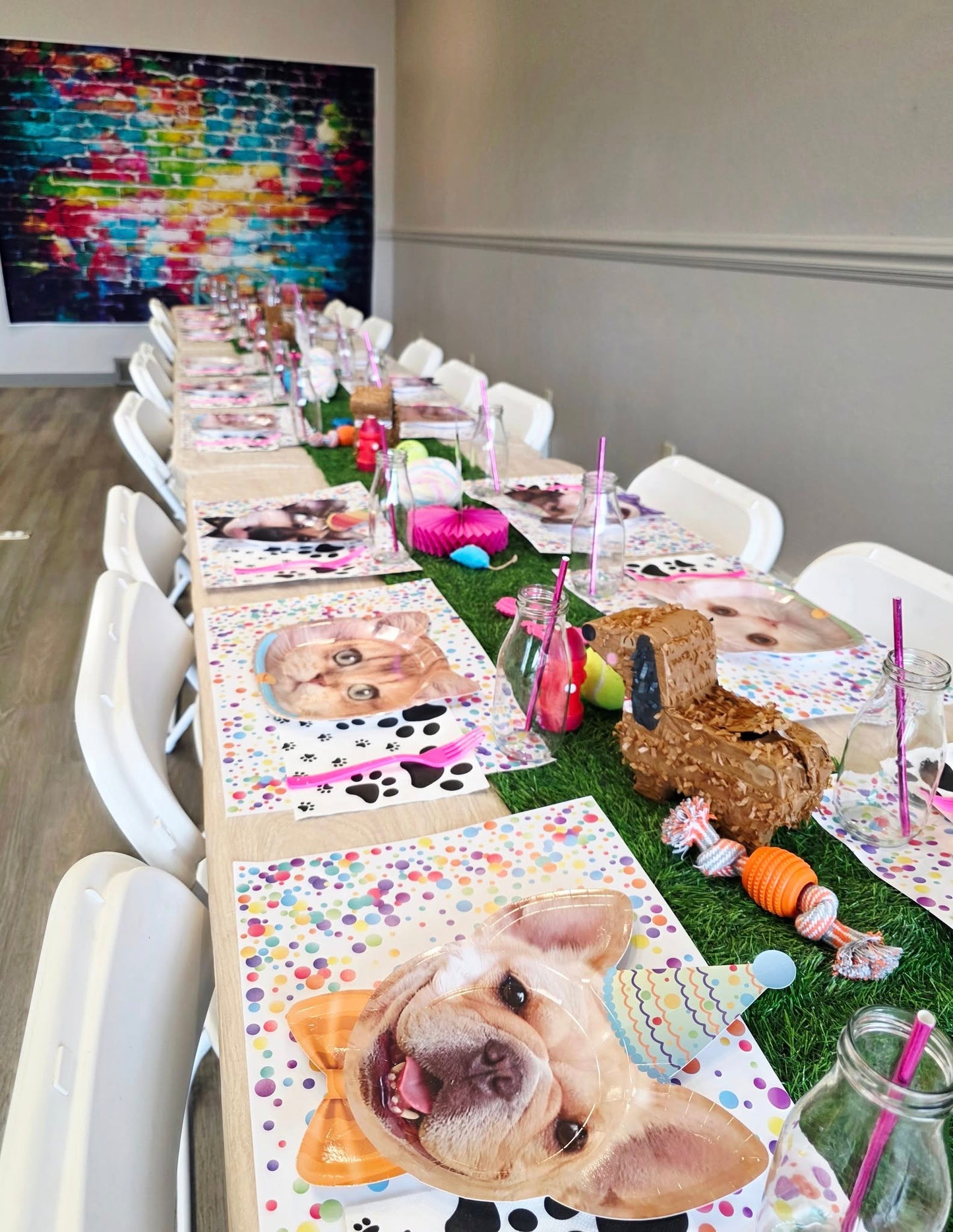 Puppy & Kitty Party