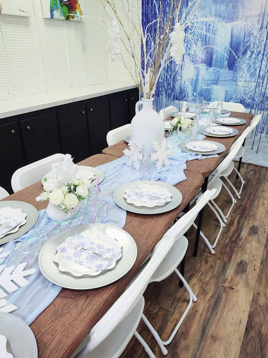 Ice Princess Party
