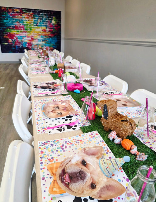 Puppy & Kitty Party